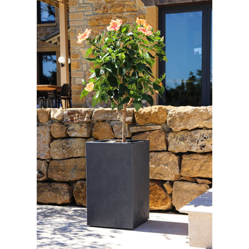 Poétic EDA bac à plantes BASALT UP, plastique aspect béton, vert amande, 36 litres